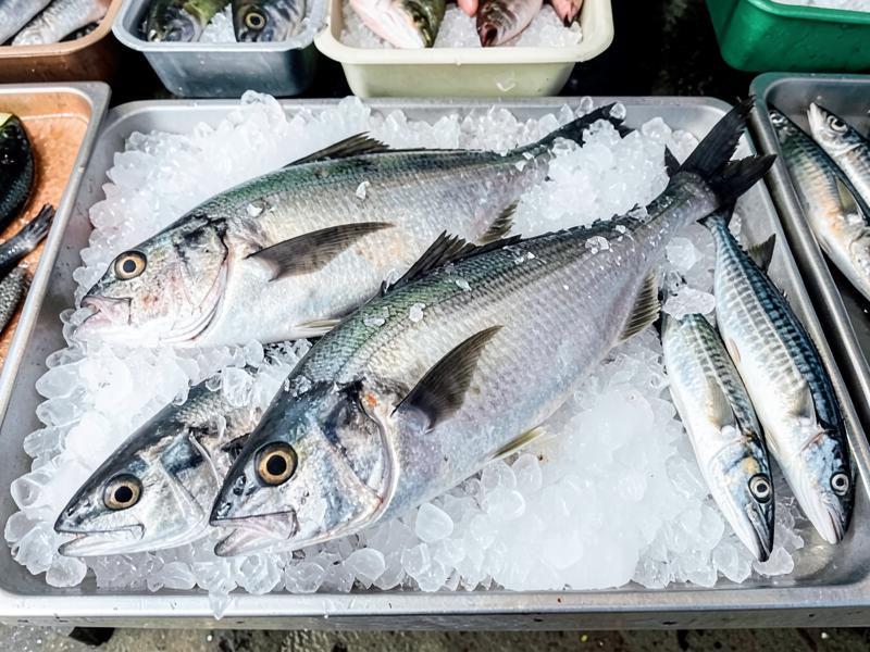 Fresh Seawater Fish